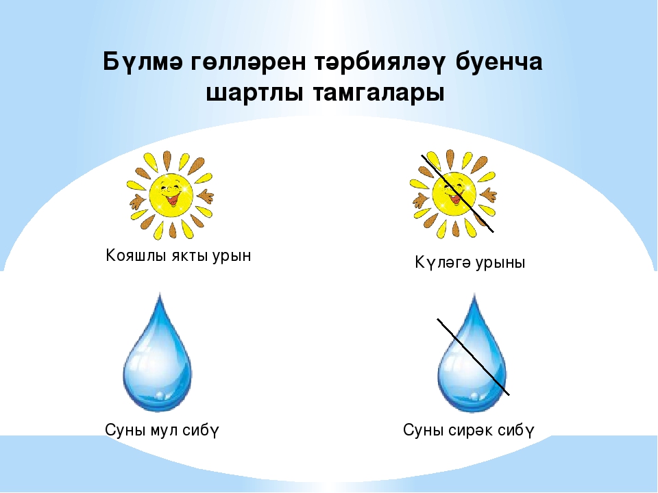 Интегрированная познавательная деятельность в старшей группе на тему: "Бүлмэ гөлләре"