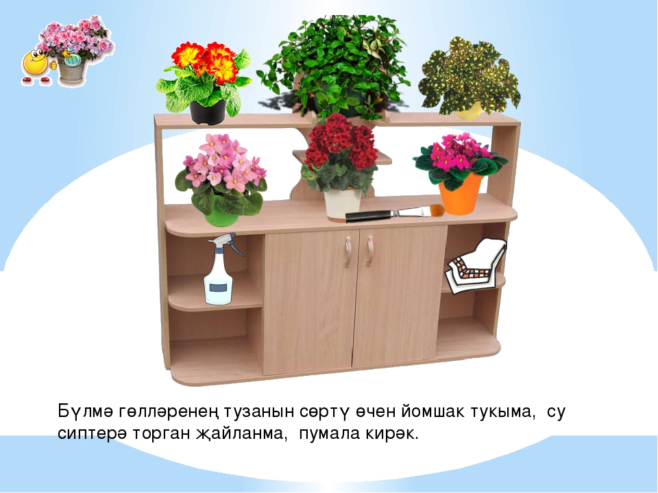 Интегрированная познавательная деятельность в старшей группе на тему: "Бүлмэ гөлләре"