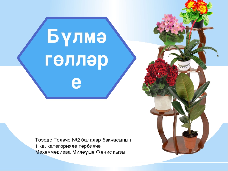 Интегрированная познавательная деятельность в старшей группе на тему: "Бүлмэ гөлләре"