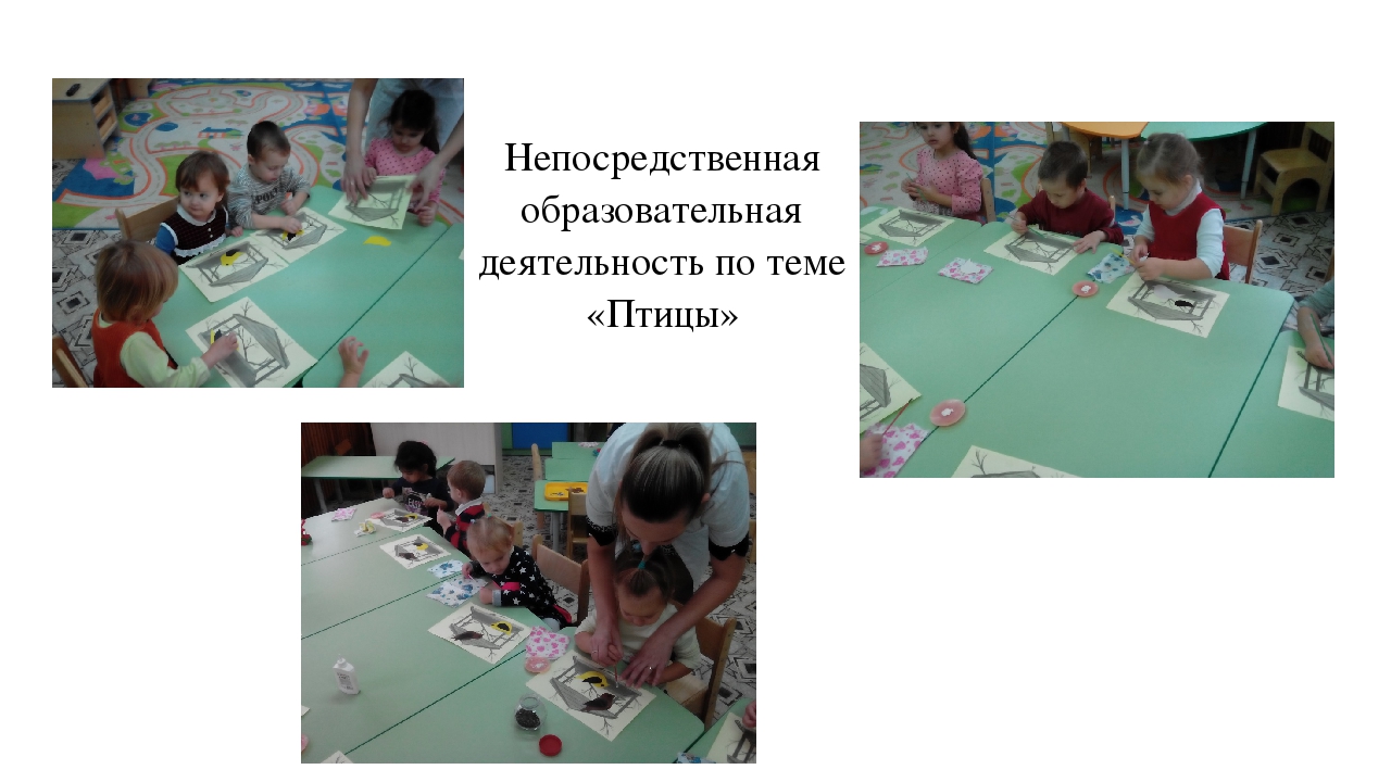 Творческий, познавательный проект "Птицы рядом с нами"