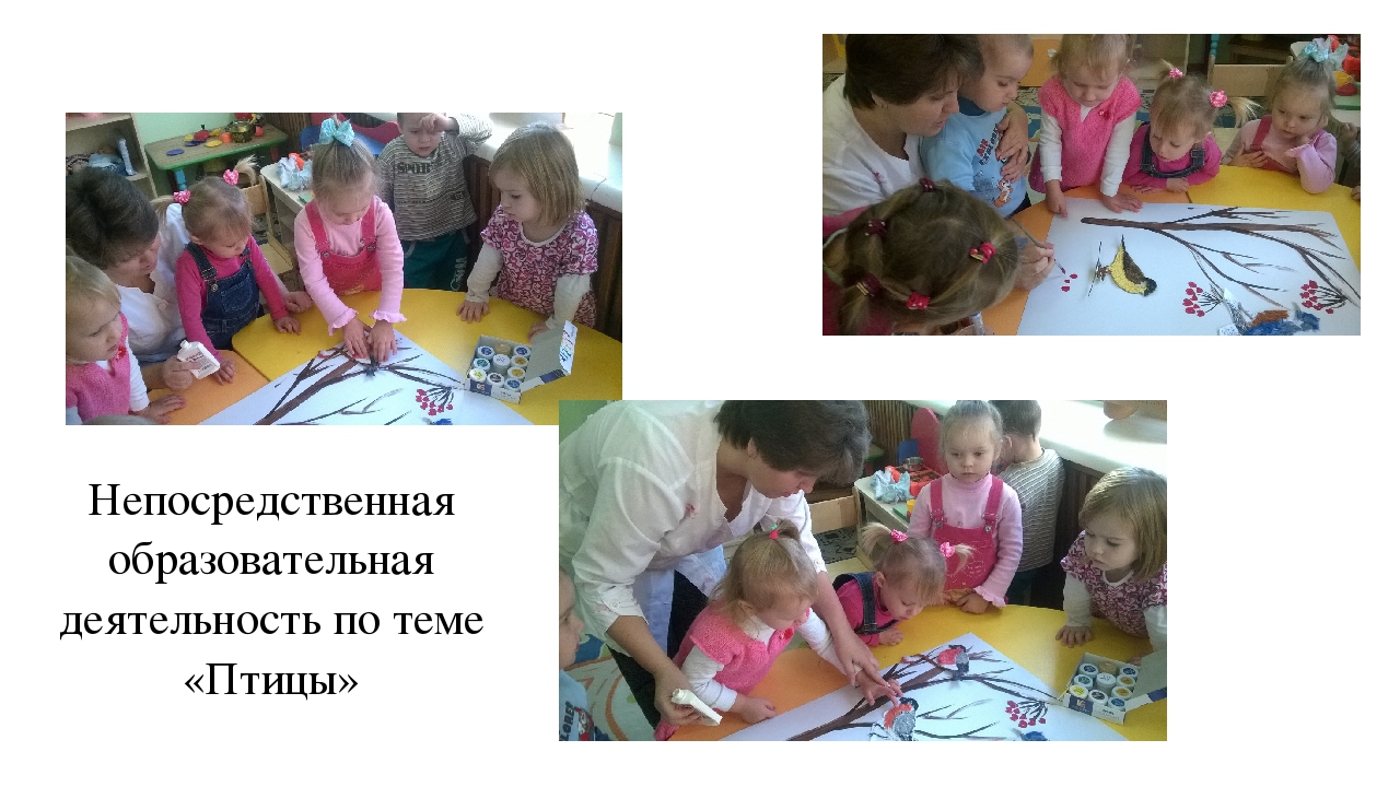 Творческий, познавательный проект "Птицы рядом с нами"