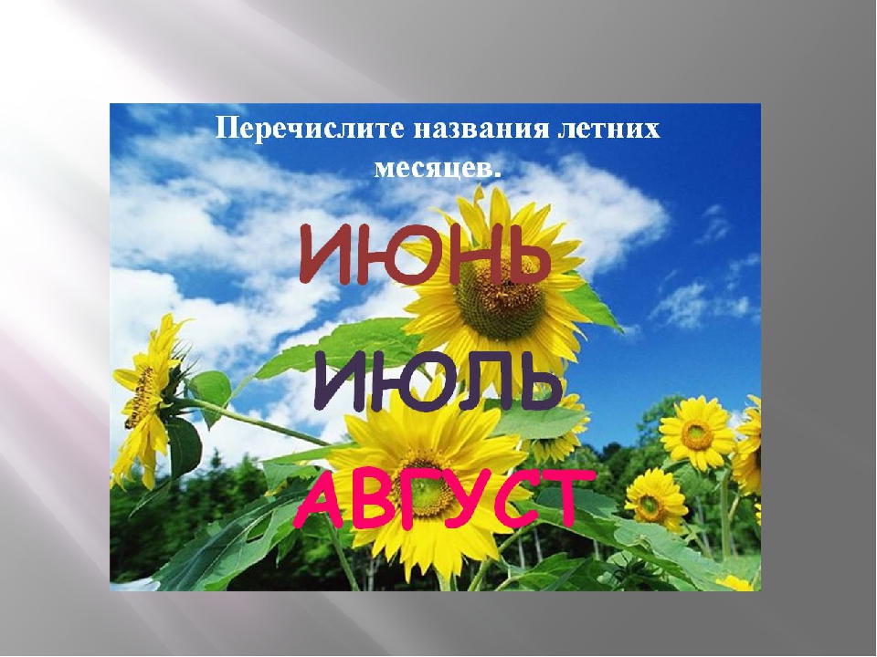 Презентация для дошкольников "Летняя пора"