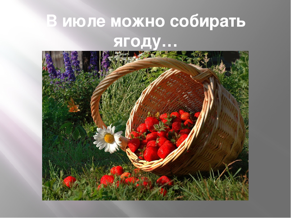 Презентация для дошкольников "Летняя пора"
