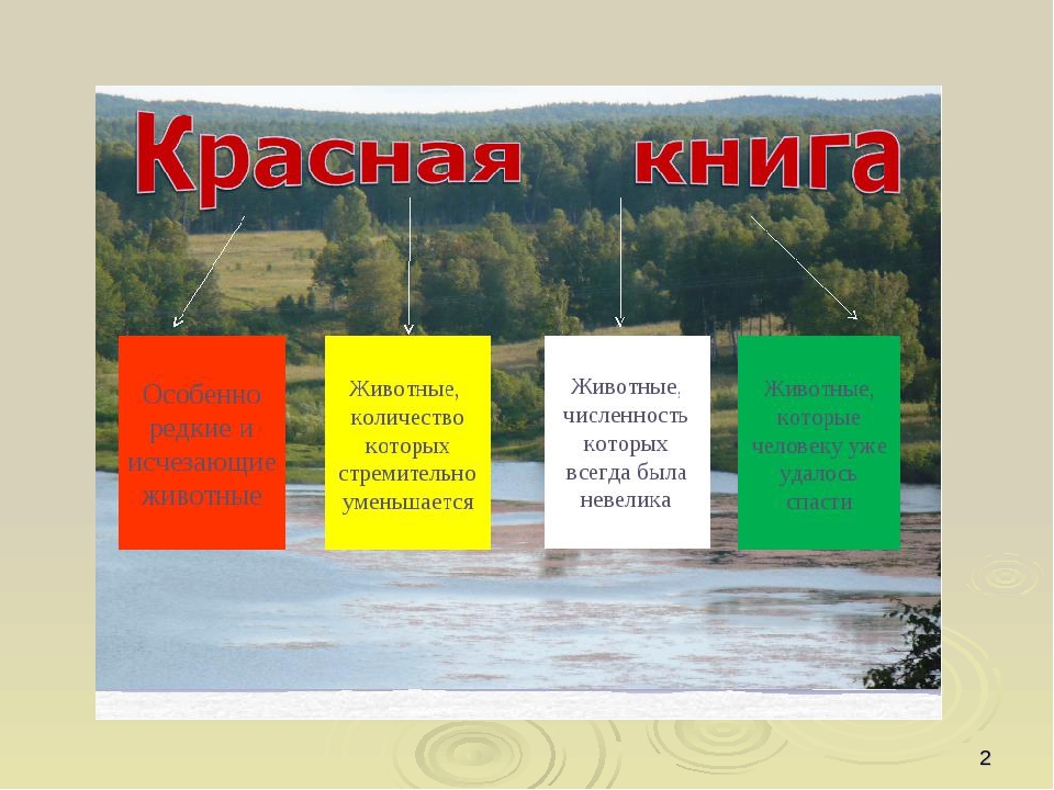 Презентация по ориентировании в мире природы на тему "Красная книга РФ и РТ" (для старших групп)