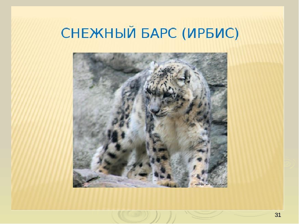 Презентация по ориентировании в мире природы на тему "Красная книга РФ и РТ" (для старших групп)