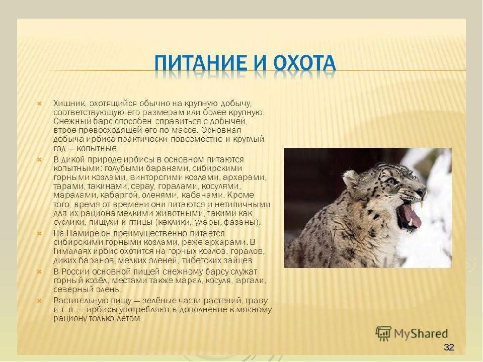 Презентация по ориентировании в мире природы на тему "Красная книга РФ и РТ" (для старших групп)