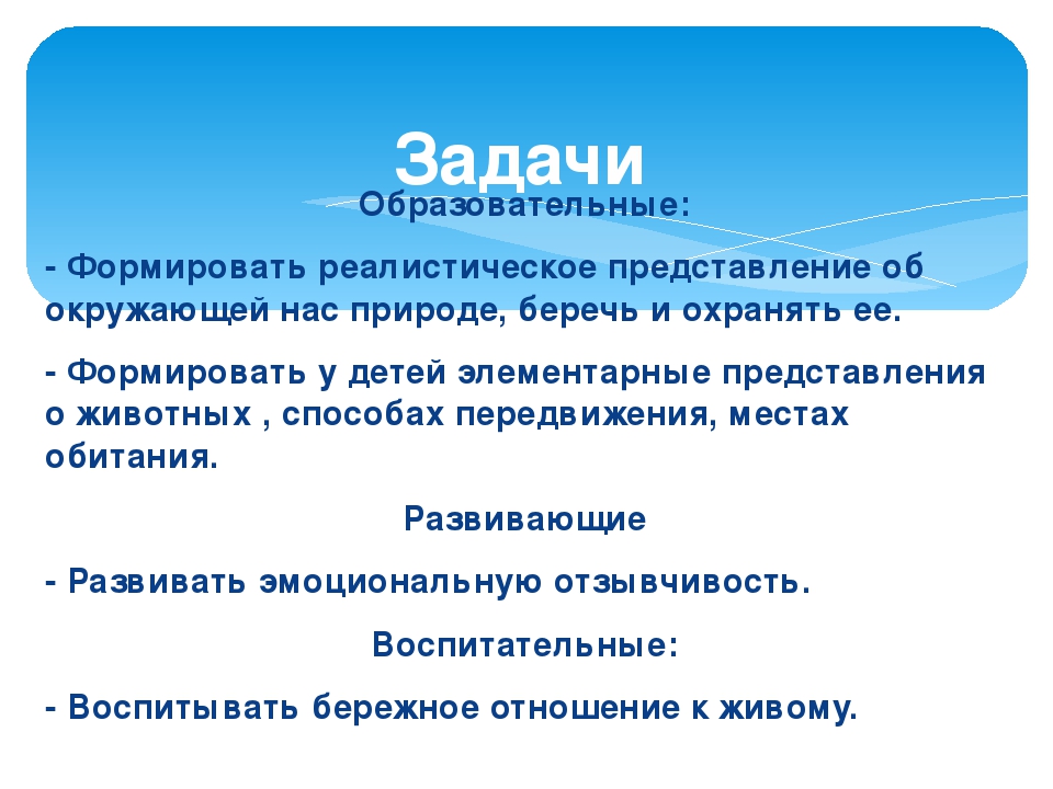 Презентация "Познавательно-исследовательская деятельность в ДОУ"