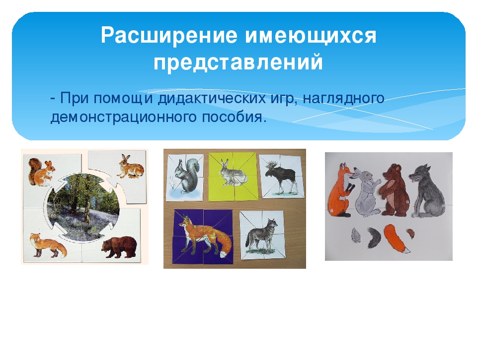 Презентация "Познавательно-исследовательская деятельность в ДОУ"
