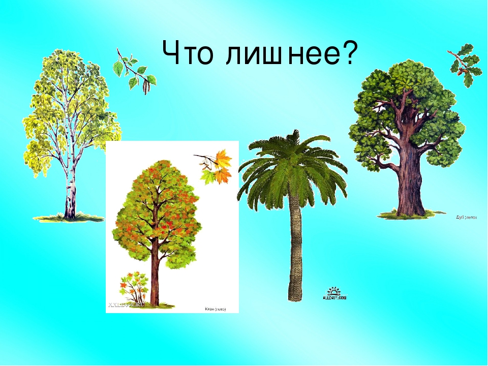 Дидактическая игра "Чего нет в Россиии?"