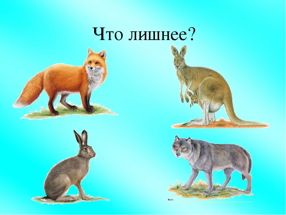 Дидактическая игра "Чего нет в Россиии?"