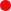 Овал 43