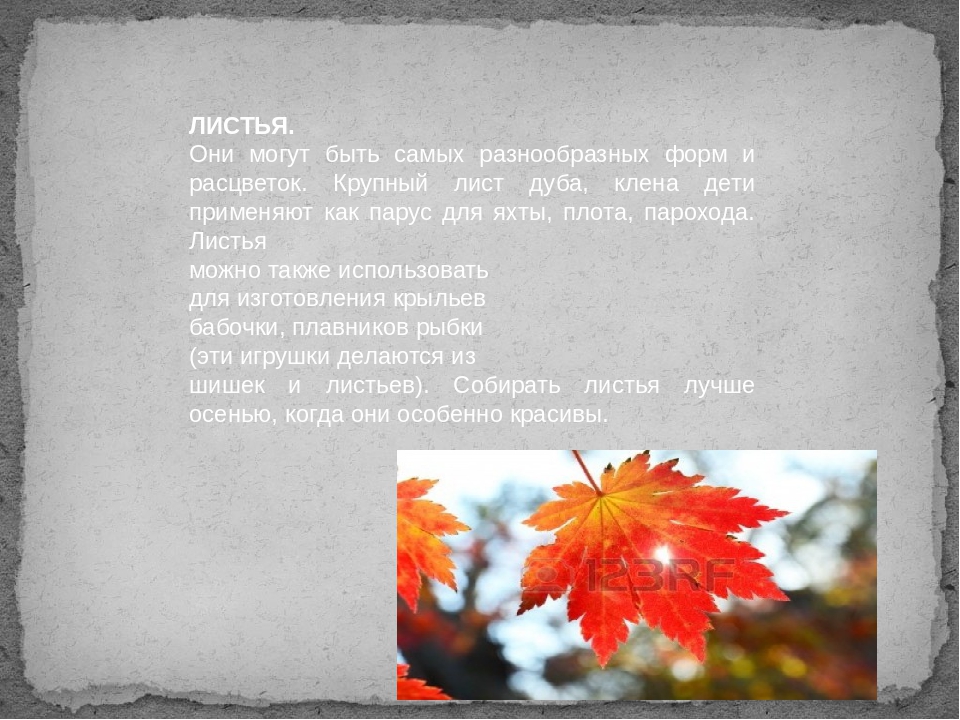 Презентация "природный материал в ДОУ"