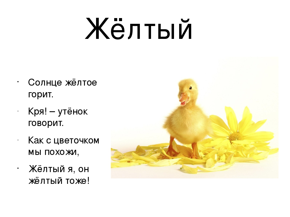 Презентация по познавательному развитию в средней группе "В гостях у радуги"