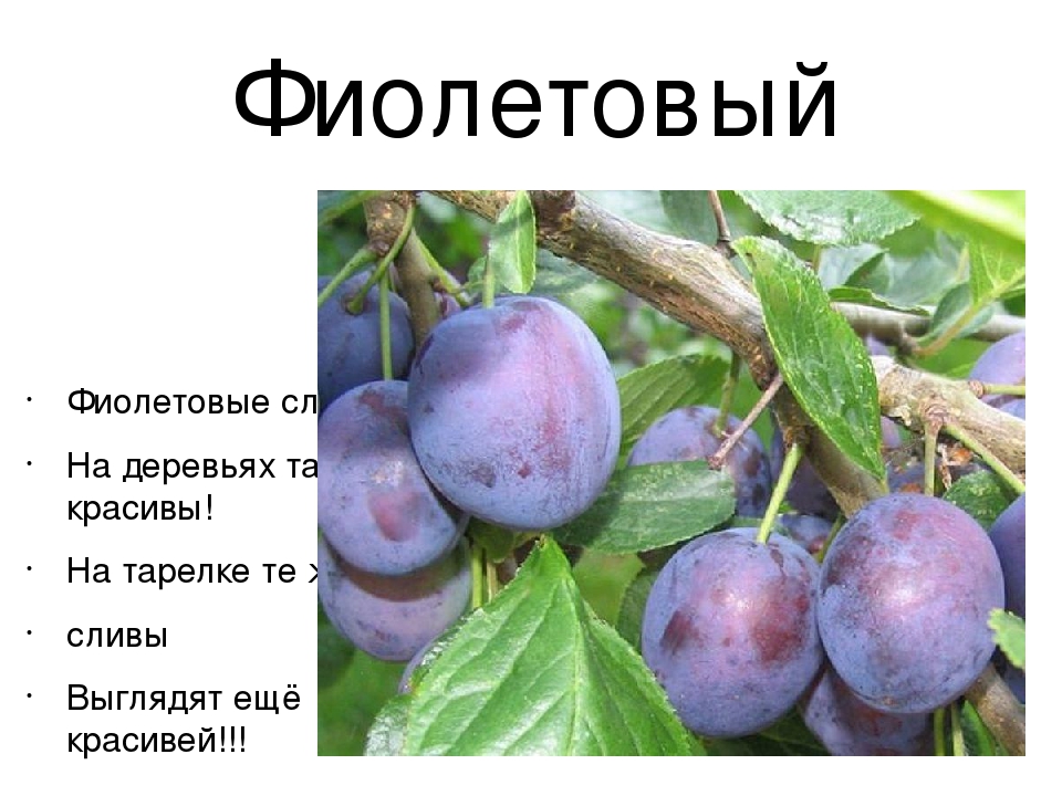 Презентация по познавательному развитию в средней группе "В гостях у радуги"