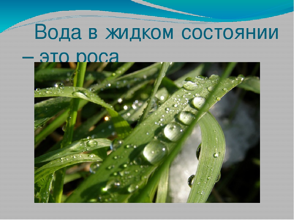 Презентация на тему "Эта удивительная вода" (для дошкольников)