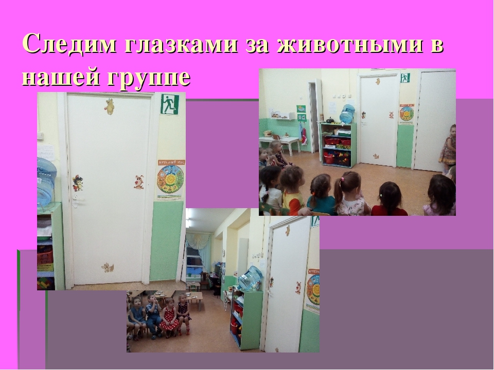 Презентация по образовательной области Физическое развитие на тему: "Гимнастика для глаз"