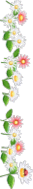 Picture 24