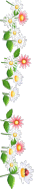 Picture 24