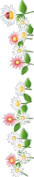 Picture 24