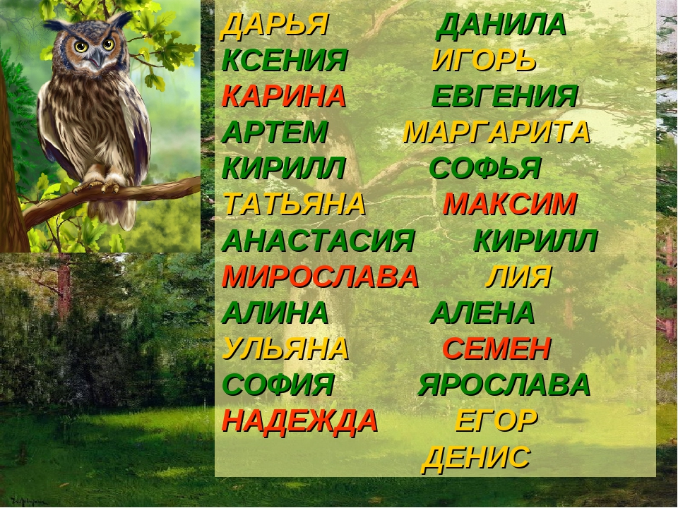 Презентация к уроку с дошкольниками "Первая встреча"