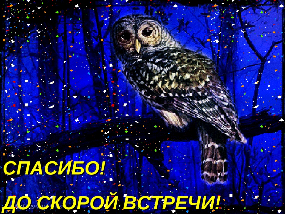 Презентация к уроку с дошкольниками "Первая встреча"
