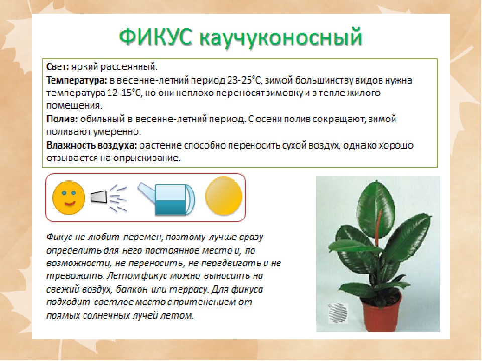 Презентация на тему "Консультация для педагогов: Экологический уголок в ДОУ"