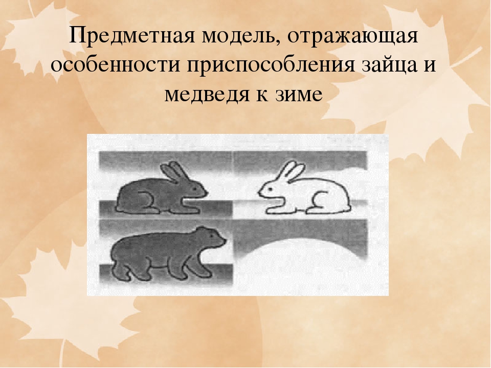Презентация на тему "Консультация для педагогов: Экологический уголок в ДОУ"
