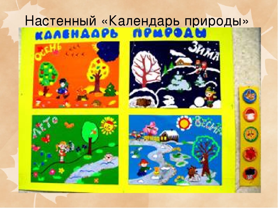 Презентация на тему "Консультация для педагогов: Экологический уголок в ДОУ"