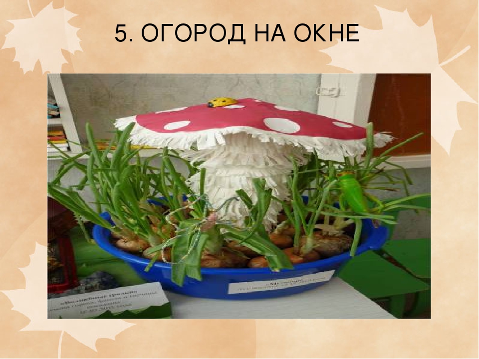 Презентация на тему "Консультация для педагогов: Экологический уголок в ДОУ"