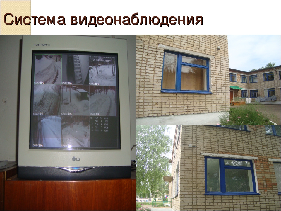 Использование ИКТ в экологическом образовании дошкольников