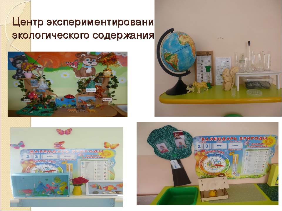 Использование ИКТ в экологическом образовании дошкольников