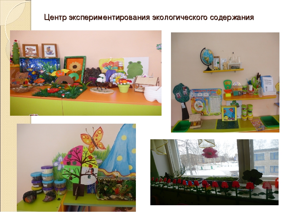 Использование ИКТ в экологическом образовании дошкольников