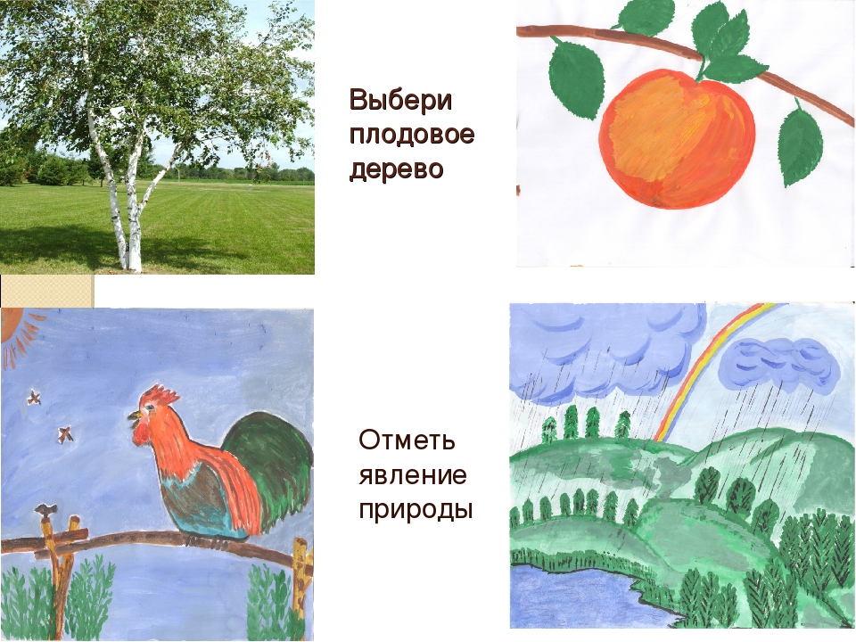 Использование ИКТ в экологическом образовании дошкольников