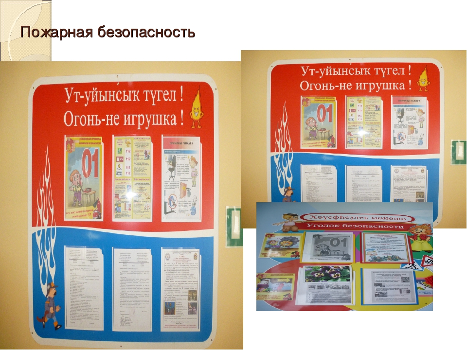 Использование ИКТ в экологическом образовании дошкольников