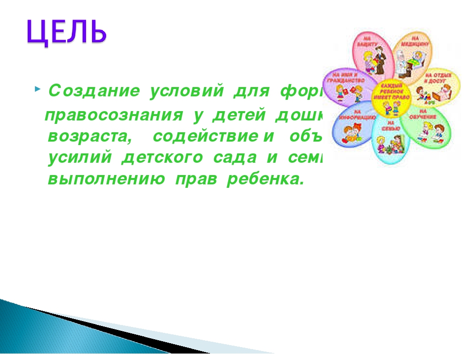 Презентация Проект "Маленькие дети - большие права"