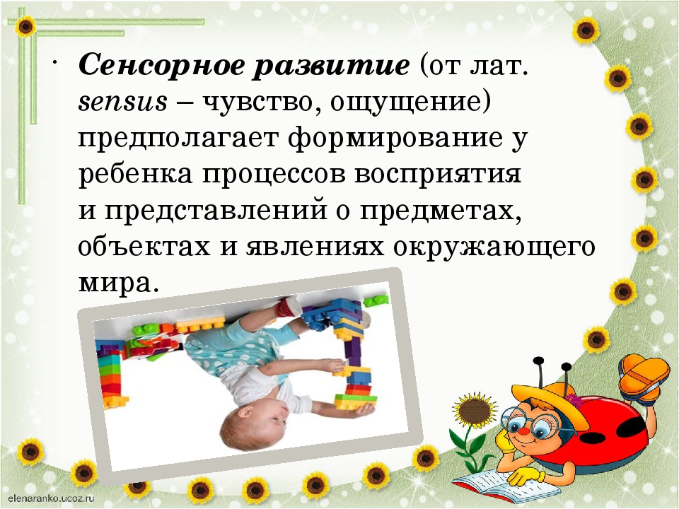 Презентация "Сенсорное развитие и усвоение сенсорных эталонов."