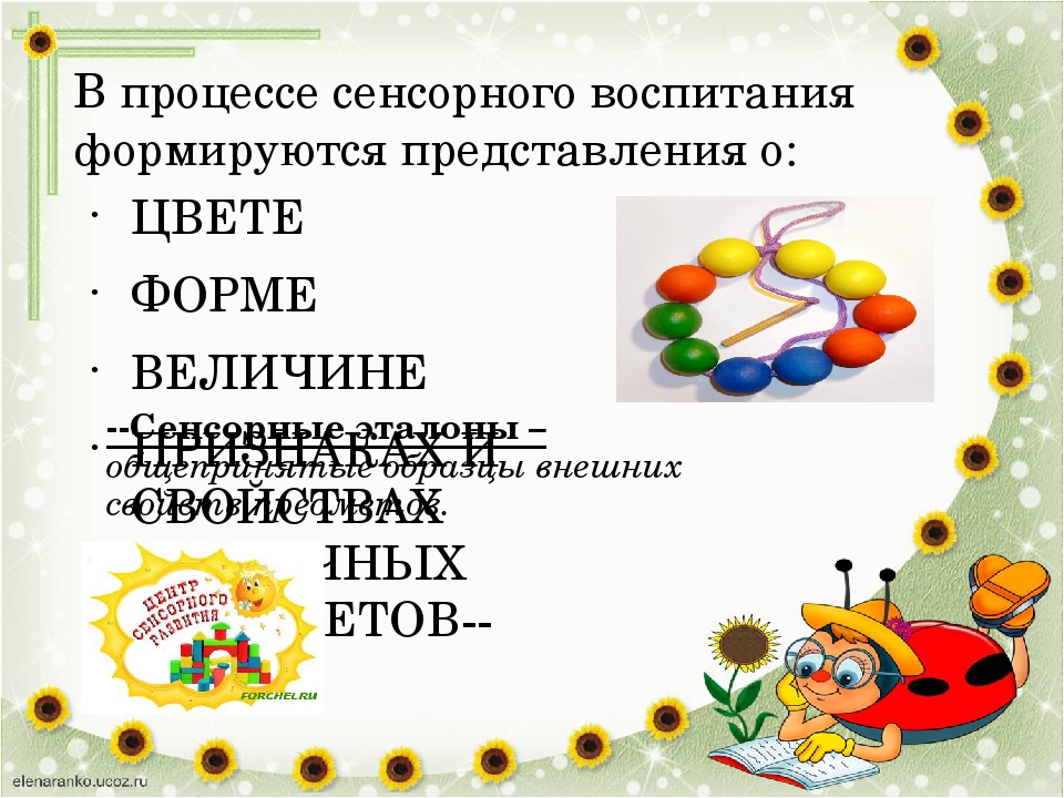 Презентация "Сенсорное развитие и усвоение сенсорных эталонов."