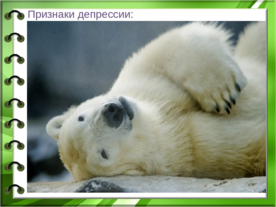 Презентация Настроение или депрессия