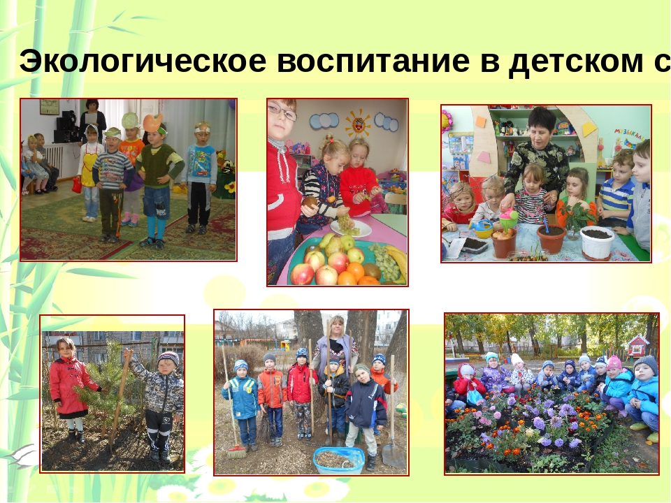 Педагогический опыт работы по экологическому образованию"Природа в детских сердцах