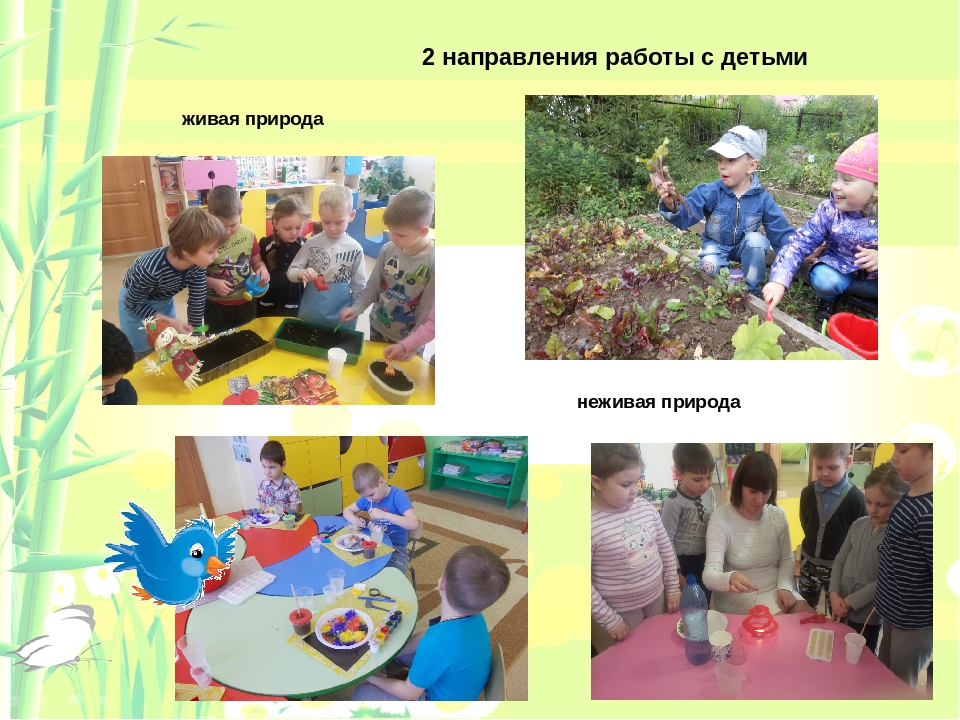 Педагогический опыт работы по экологическому образованию"Природа в детских сердцах