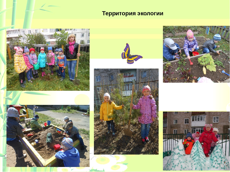 Педагогический опыт работы по экологическому образованию"Природа в детских сердцах