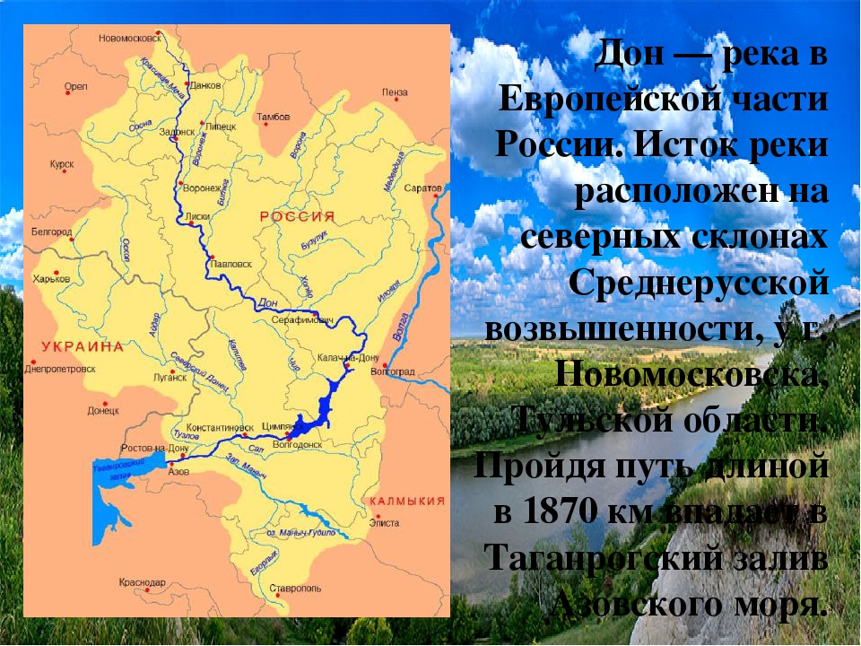 Презентация по экологии "Формирование экологической грамотности и приобщение к экологической культуре детей дошкольного возраста"
