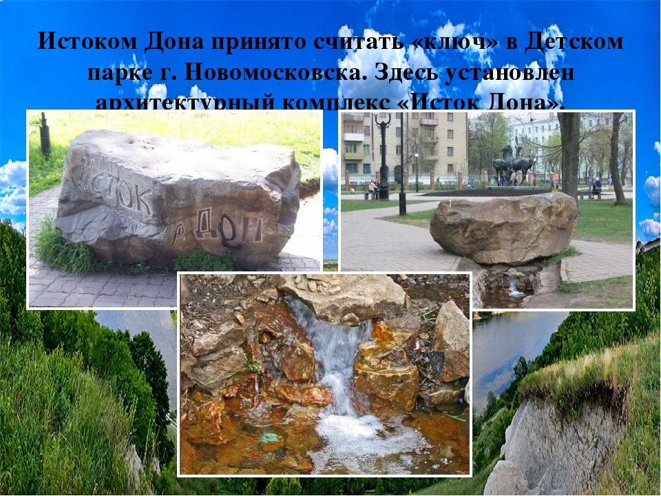 Презентация по экологии "Формирование экологической грамотности и приобщение к экологической культуре детей дошкольного возраста"