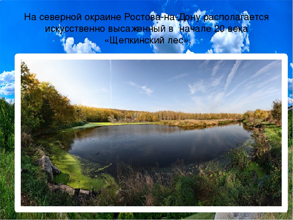 Презентация по экологии "Формирование экологической грамотности и приобщение к экологической культуре детей дошкольного возраста"