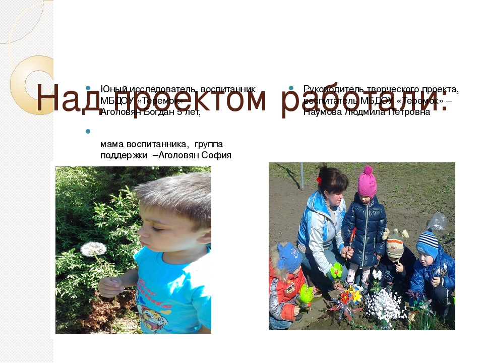 Творческий проект "Природа моего родного края"