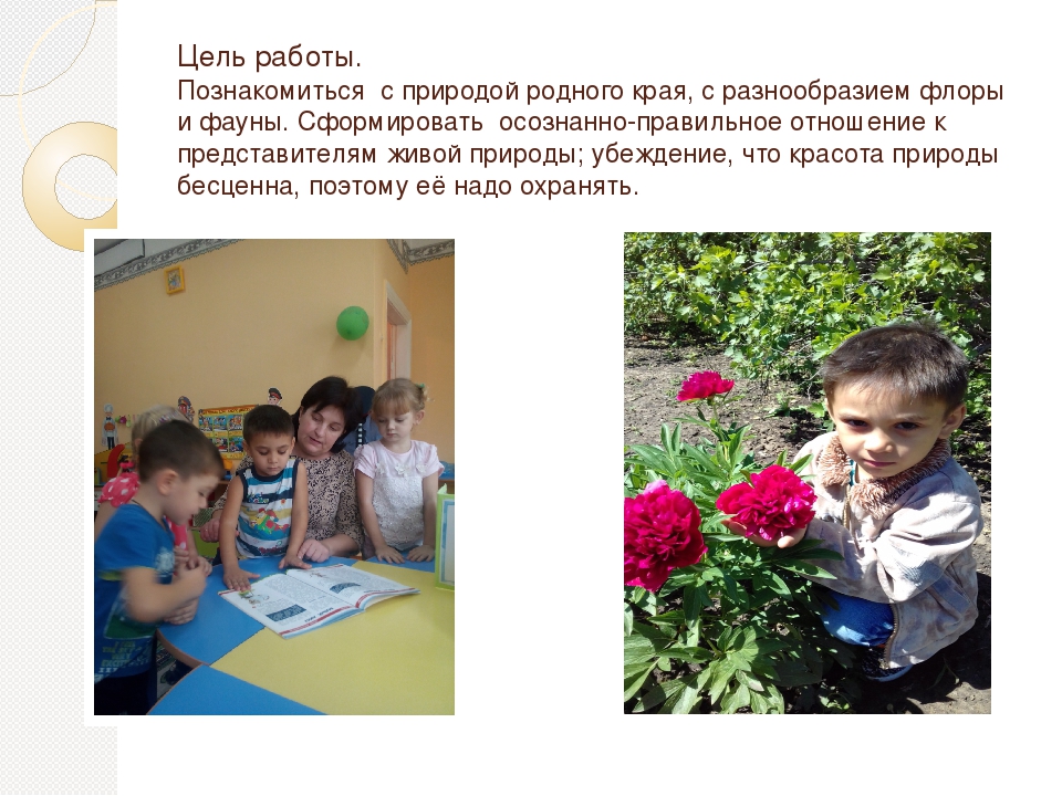 Творческий проект "Природа моего родного края"