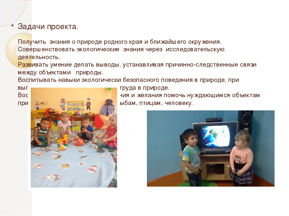 Творческий проект "Природа моего родного края"