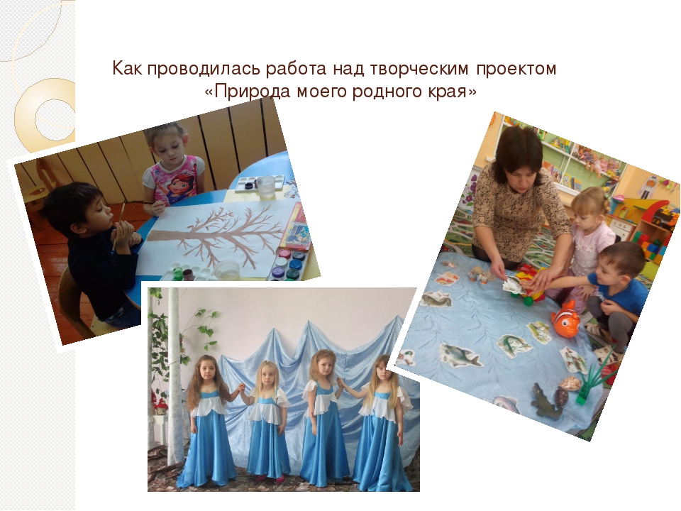 Творческий проект "Природа моего родного края"
