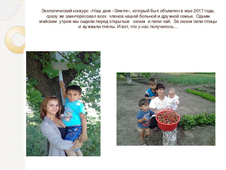 Творческий проект "Природа моего родного края"