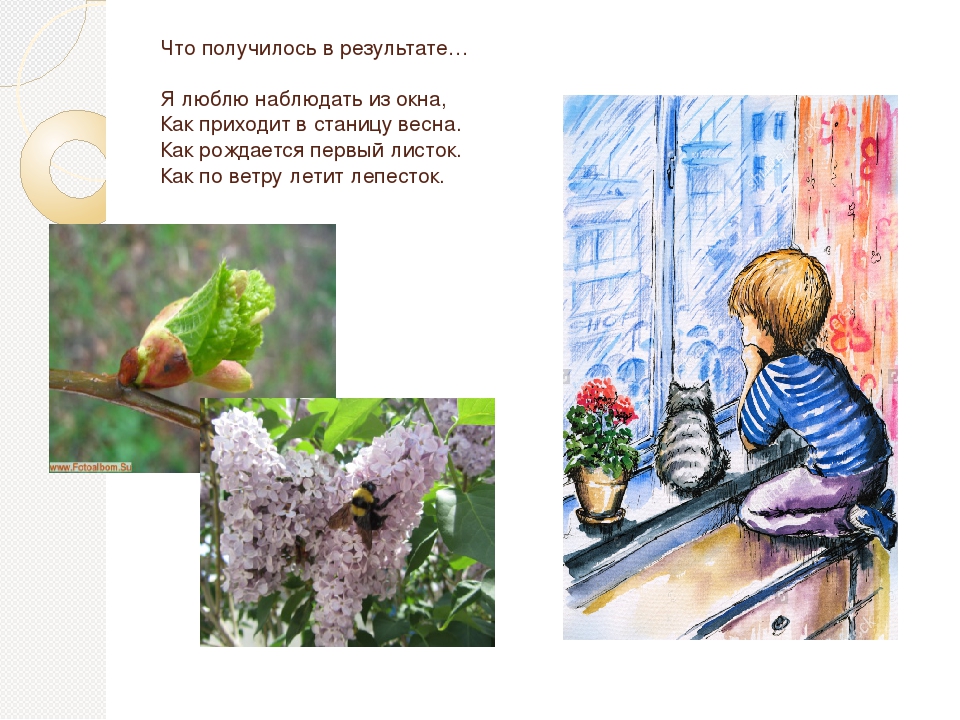 Творческий проект "Природа моего родного края"